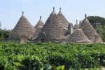 Trulli vigneti.jpg (115614 byte)